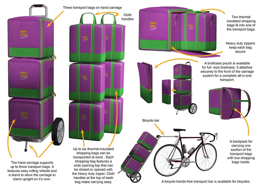 Mobile Shopper’s Assistant Caddie (M-SAC)