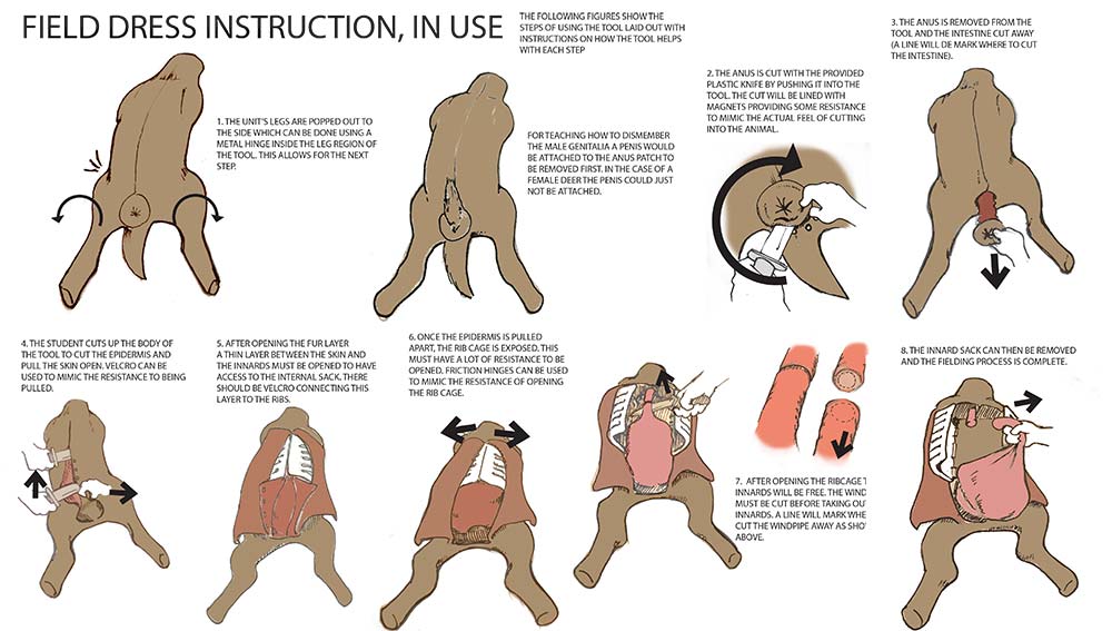 Field Dress Instruction Tool