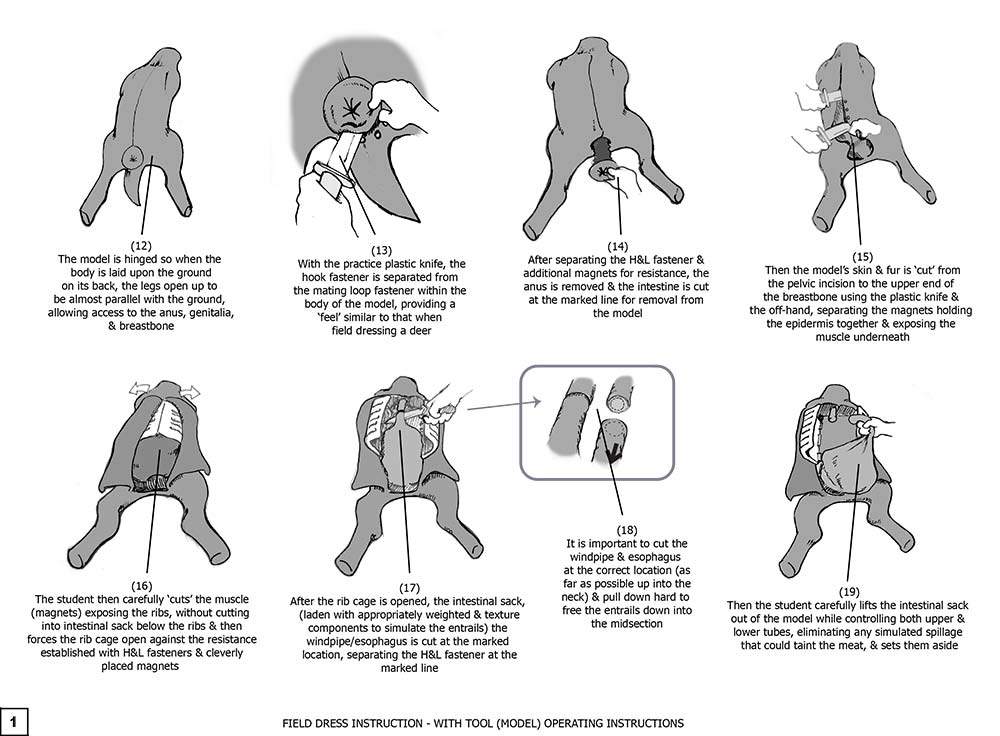 Field Dress Instruction Tool